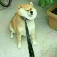 倾城绝恋 草原格格肚子里的孩子, 王爷不承认, 