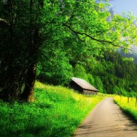 《屌丝男士》女神柳岩给大鹏捏脚