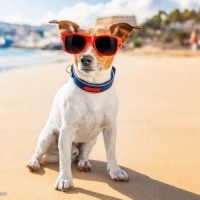 男扮女装的抖音女神,真是太辣眼睛了,网友:真是