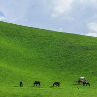 DNF:当你拥有了青龙腾海臂铠+跑鞋搬砖,是何