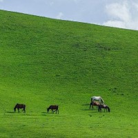 身临其境未播花絮:宋佳与阚清子两人形象都不