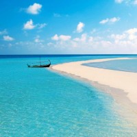 少儿益智:有趣吃豆人咬足球摩托车,变颜色,颜色