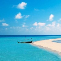 狐妖小红娘:小蜘蛛想成为王权富贵的眼睛 王权