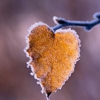 向往的生活第二季:徐峥说了个笑话,何炅却哭了