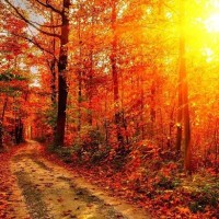 最近这个视频很火,小姐姐唱歌很好听,可是她好