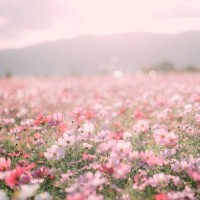 《宝莲灯》杨戬嫦娥混剪MV,焦恩俊颜丹晨那时