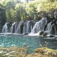 美女直播身体刮毛全过程 网友直呼:受不了!