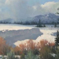 泰迪狗狗造型修剪视频教程泰迪八字头