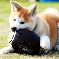 漫天的雪无情,谁来赔这一生好光景,这歌词形容