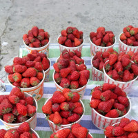 《古筝一眼万年》电视剧《天外飞仙》主题曲