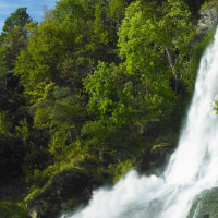 12星座女生会用怎样的办法挽回前男友