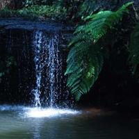 贾冰玩穿越小品,回到三十年前儿子老婆通通不