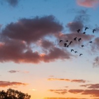 1分钟教你用洗衣液自制水晶泥,新手小白都能学