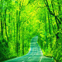 厉害了我的奶奶,这么大年纪竟然还和孙子抢玩