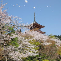 男方父母给孩子买了房子, 女子竟然不愿与男友