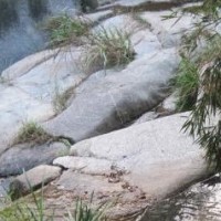 越剧名家名段:袁雪芬和袁派艺术《祥林嫂 捐门