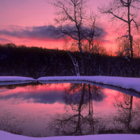 大司马皎月女神黛安娜,爆发性最强的中单,上中