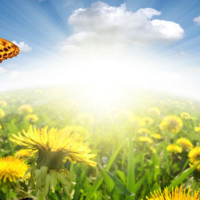 我的世界怪物学院之恐怖奶奶游戏挑战:凋零骷