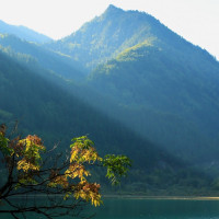 涨知识啦!裤子开档还能这样缝,堪比机器缝纫,这