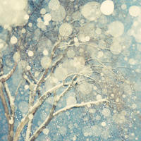 拜托了冰箱:王嘉尔现场脱增高鞋垫爆真实身高