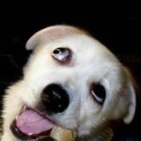 搞笑视频合集,这位帅哥太搞笑了,笑得我肚子疼