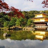 残疾小哥跪在马路上唱了一首《妈妈我想你》感