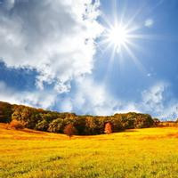 女明星走红毯穿抹胸裙,赵丽颖的价值18万,景甜