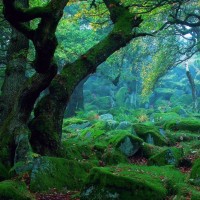 坤坤可爱剪辑,最难忘的笑容,陈立农打call!