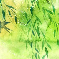 iG中单Rookie直播, 这是一个假的韩国人吧 中文