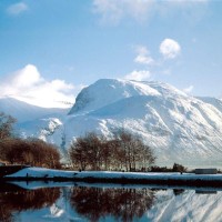 《废柴兄弟》智商不够订单来凑, 快递费300元