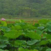 抖音神曲舞蹈串烧,哪一首你没听过?