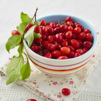 旭日阳刚刘刚演唱的这首《怀念青春》太好听了