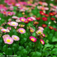 回顾04年刘翔雅典夺冠历程, 解说激动欢呼,那一