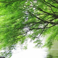 一秋健身《时尚电音》瘦腰收腹健身操