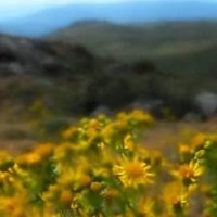 QQ飞车手游 最新官方职业S联赛, 个人竞技赛,