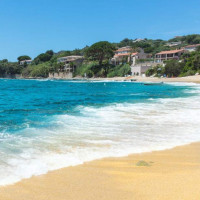 富家千金一吃东西就吐,正是怀孕了,没想到孩子