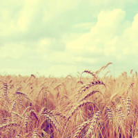 贾静雯皮一下很开心,咘咘秒变表情包,修杰楷连