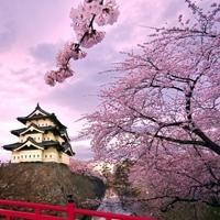 19年前,王健林宣布万达永远退出足坛不陪你们