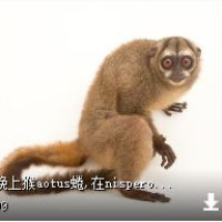 一起又看流星雨 雨荨不擅长游戏,玩输了罚喝交