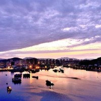 熊出没:强哥中了彩票获100万,却因为交税而犯