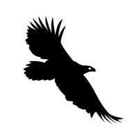 种植的菠萝不结果?草原生活小伙告诉你为什么