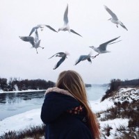 一首等爱的情人在夜里哭,听一遍就心碎