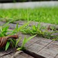 小秋2018QQ飞车超级联赛:鲁竜:我真的服了,套