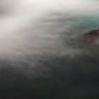 人类功能退化的器官松果体,传说是第三只眼、