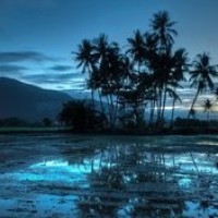 无头东宫大结局:奸妃和萧涛被皇上,双双处斩