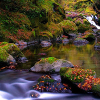 LOL新英雄派克中文技能介绍,快看看是几个英