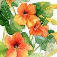 QQ飞车手游:K神11城2分01,这纪录击败多少职