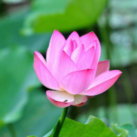 抖音又爆火一首歌《帝都》,比《纸短情长》更