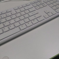 小肥猫受到惊吓后连英文都说出来了