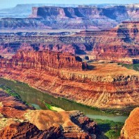 有趣的大公鸡老母鸡搞笑视频。